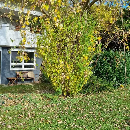 Apartment Waldblick Heiligenzell