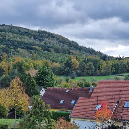 Waldblick דירה *